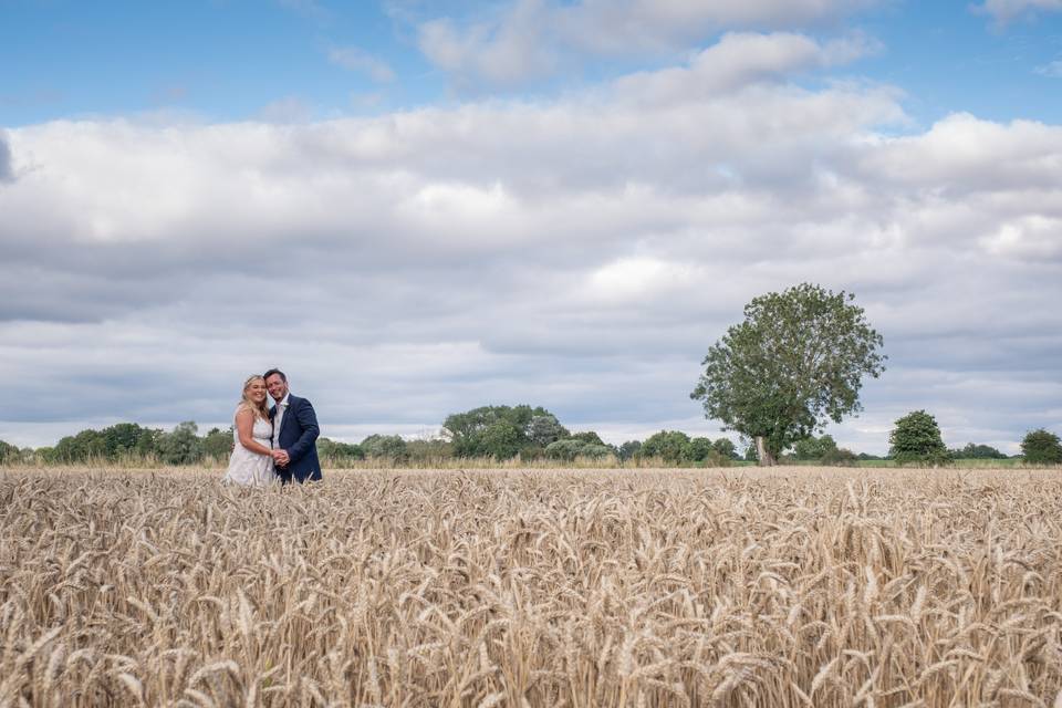 Corn Field