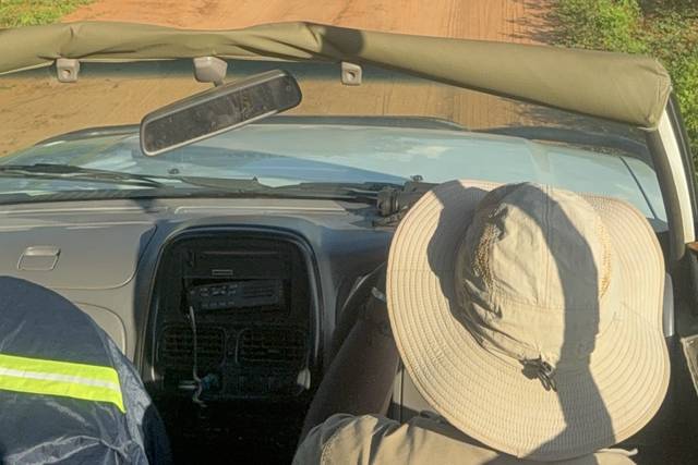 On safari