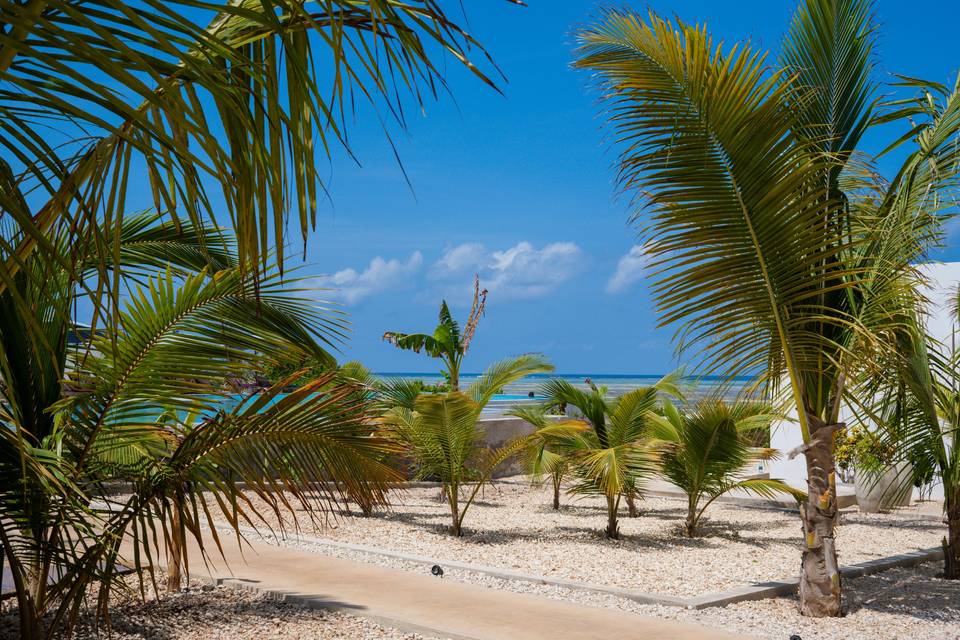 Zanzibar