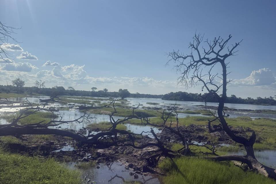 Zambezi River