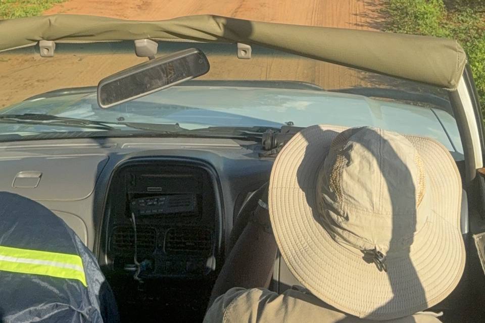 On safari