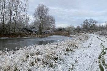 Winter Weddings