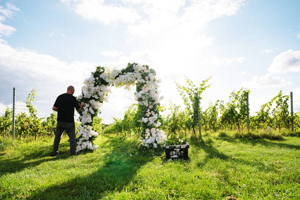 Vineyard Wedding