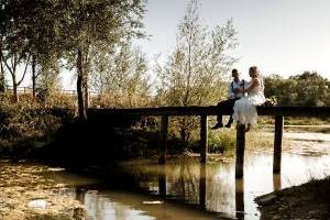 Wedding Photographs