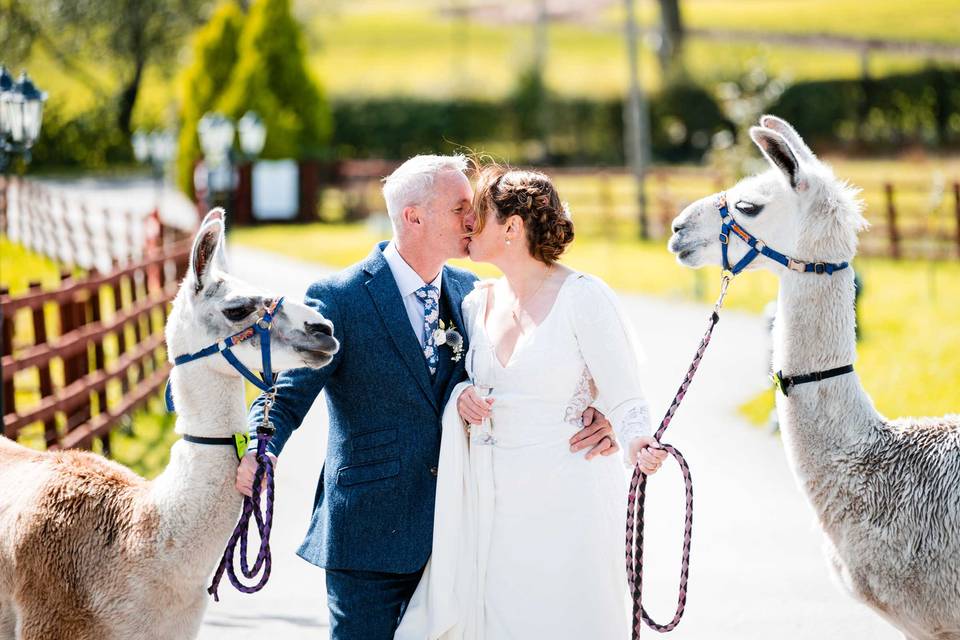 Quirky and fun photography