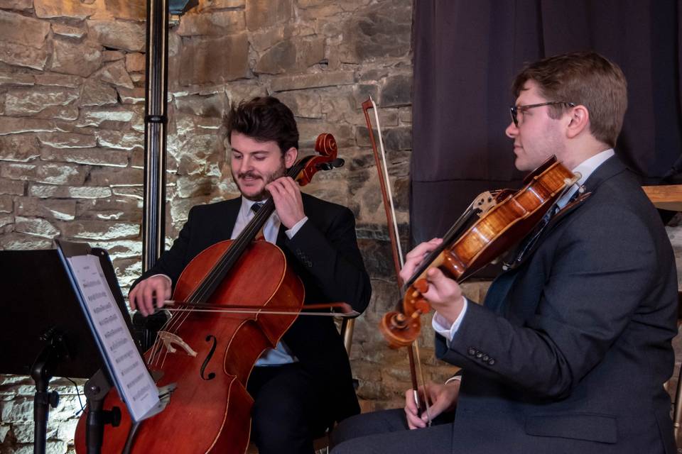 Cello & Viola
