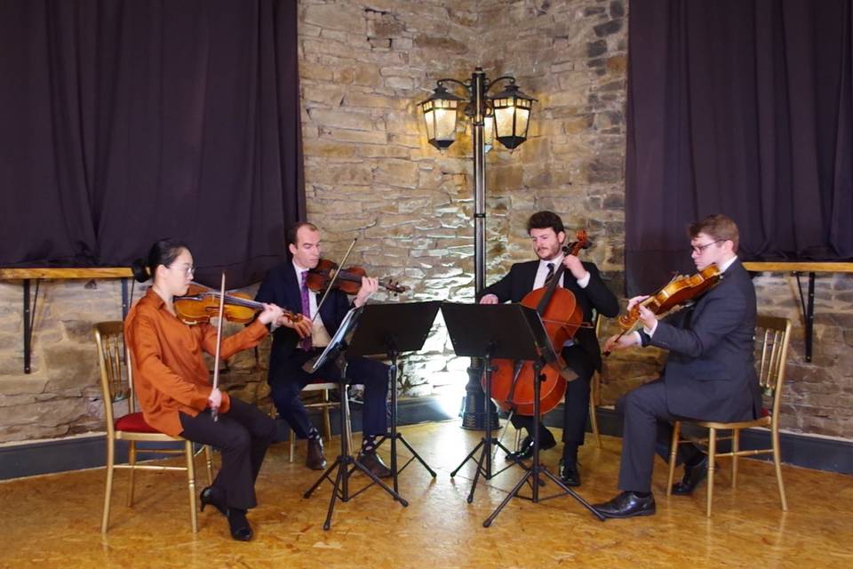 Musicians