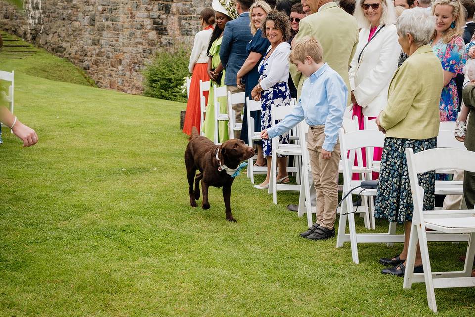 Ring Bearer