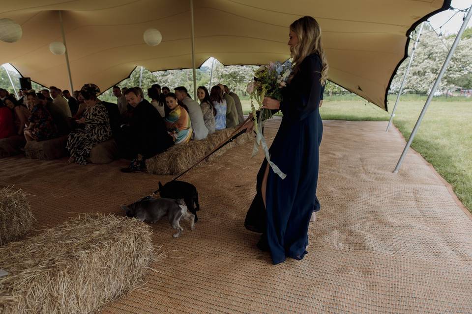 Hannah Warmisham Wedding Photo