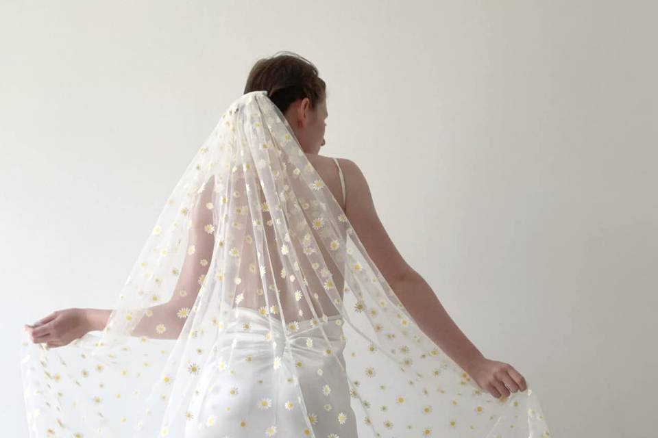 Daisy Daydream