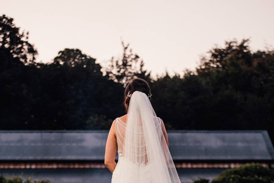 Back of the dress