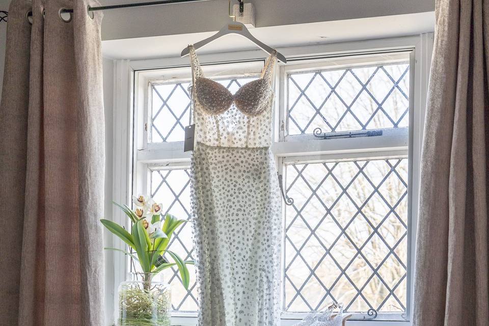 The Dress