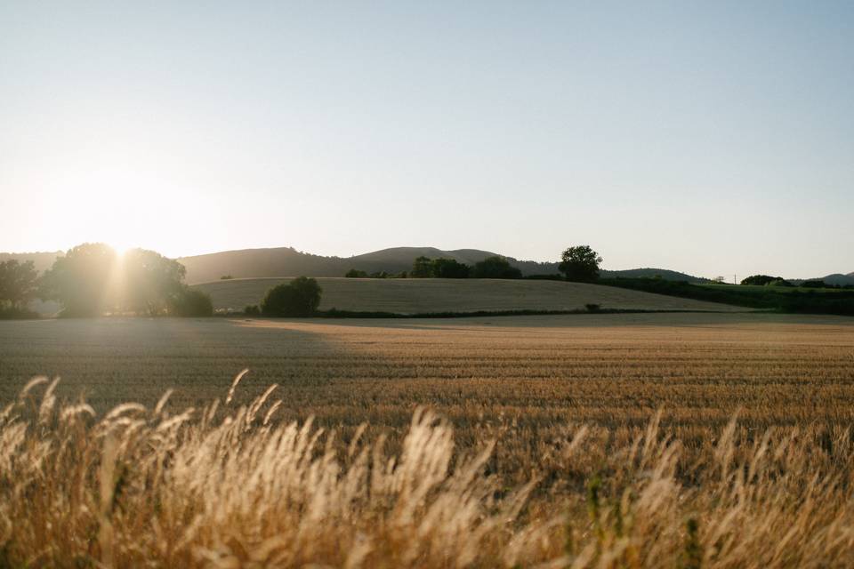 Malvern Hills sunset