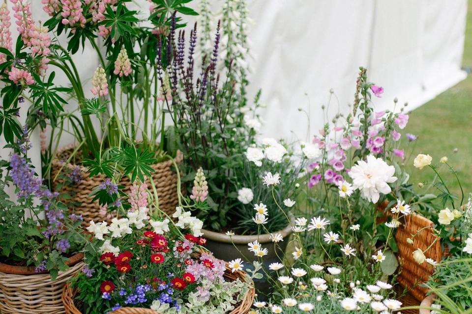 Wildflowers at wedding venue