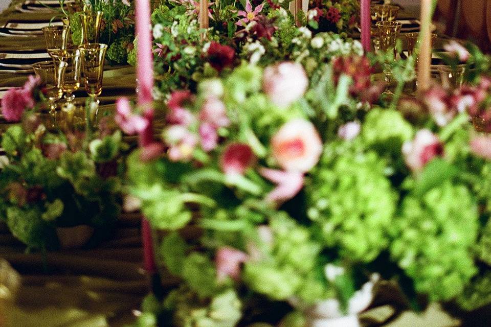 Head table setup - 35mm film