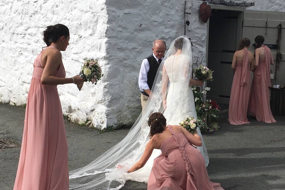 Beautiful bride entrance