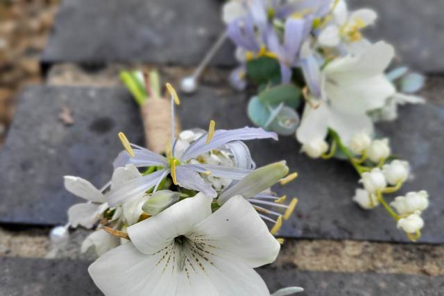 Coombe Bissett Blooms