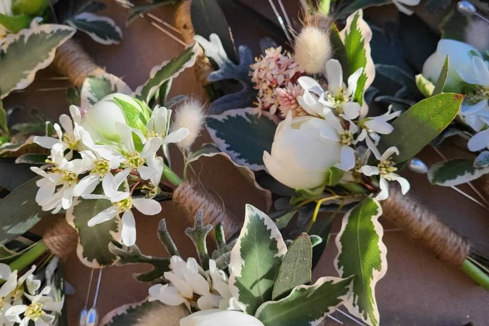 White buttonholes