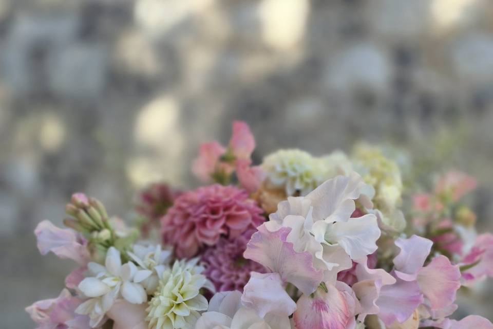 Summer pinks