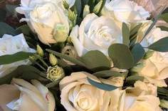 White rose eucalyptus