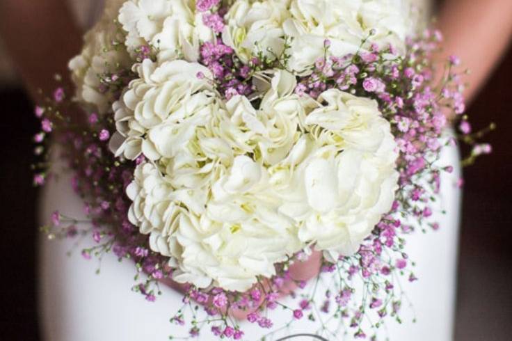 Hydrangea & Gypsophilia