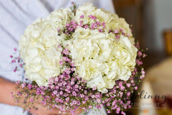 Hydrangea & Gypsophilia