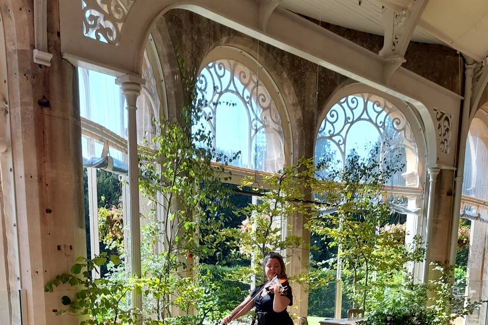 Wedding violinist