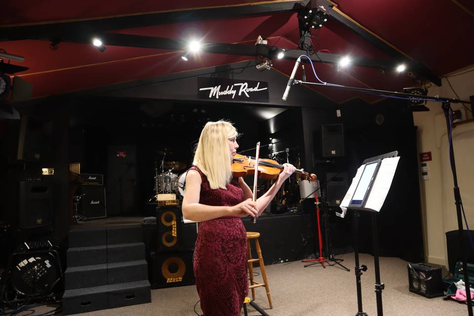 Wedding violinist
