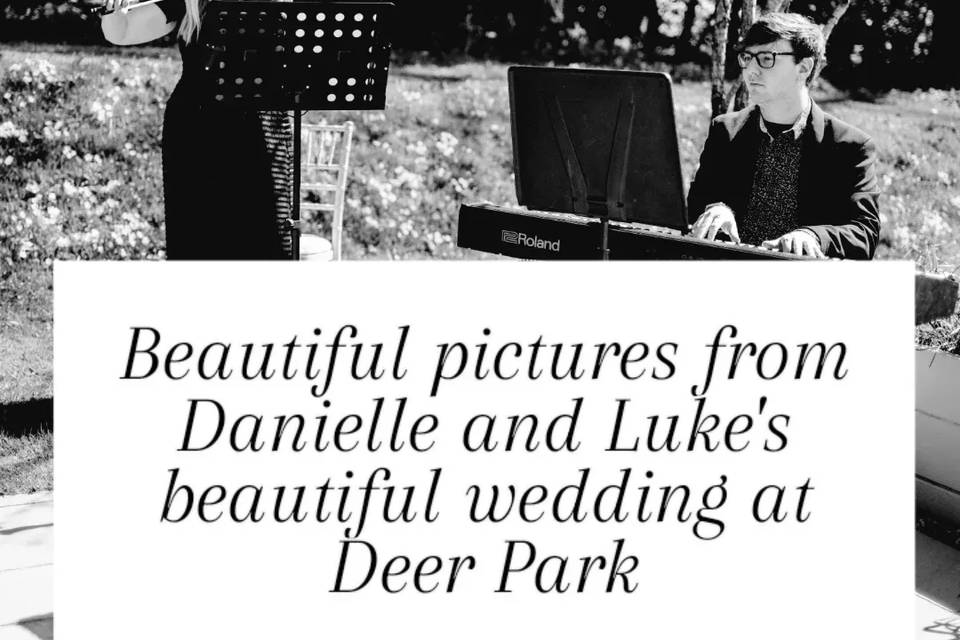 Weddings