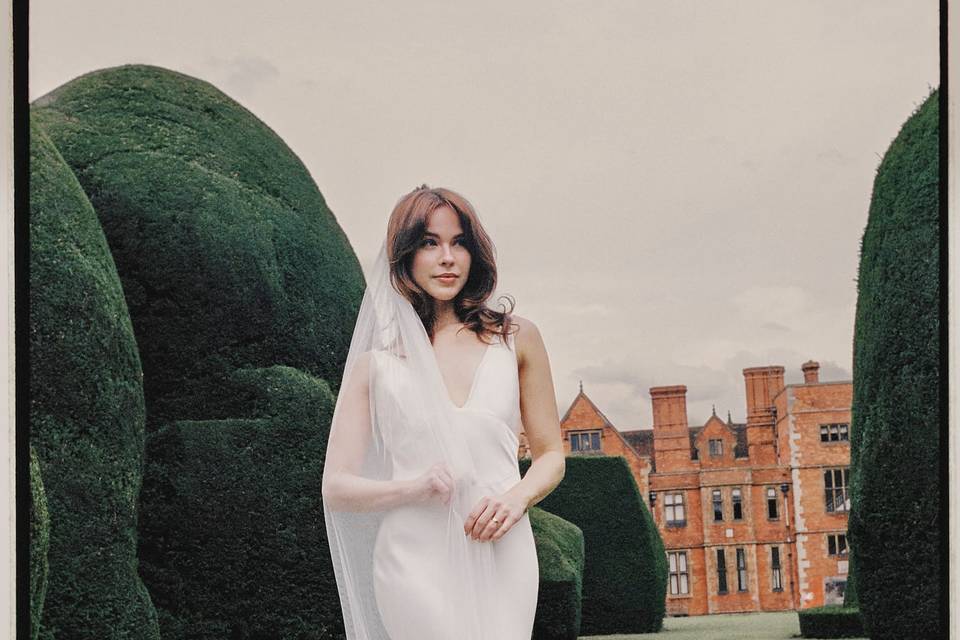 Bride portrait with vail