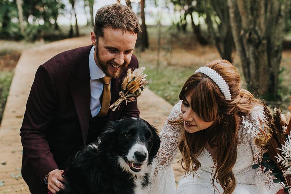 Dogs Welcome