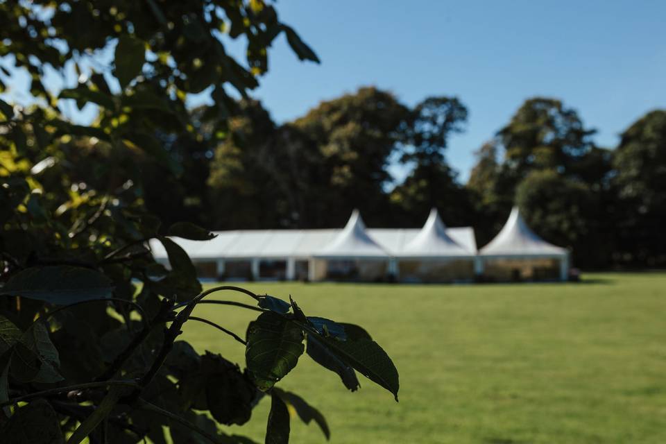 The Grand Marquee