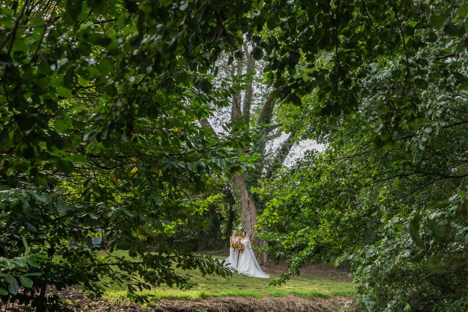 Woodland