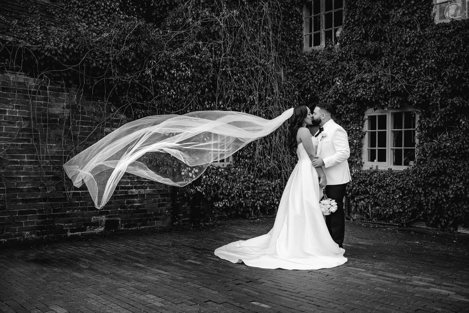 Veils