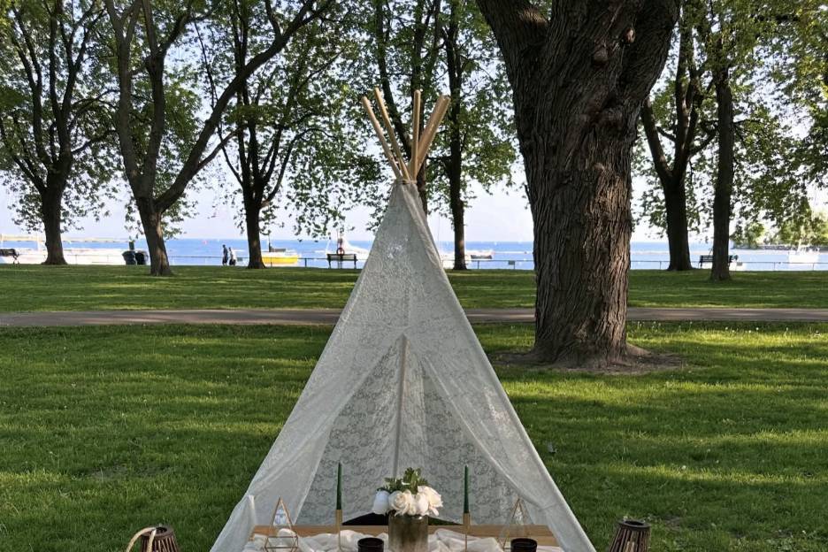 Romantic picnic