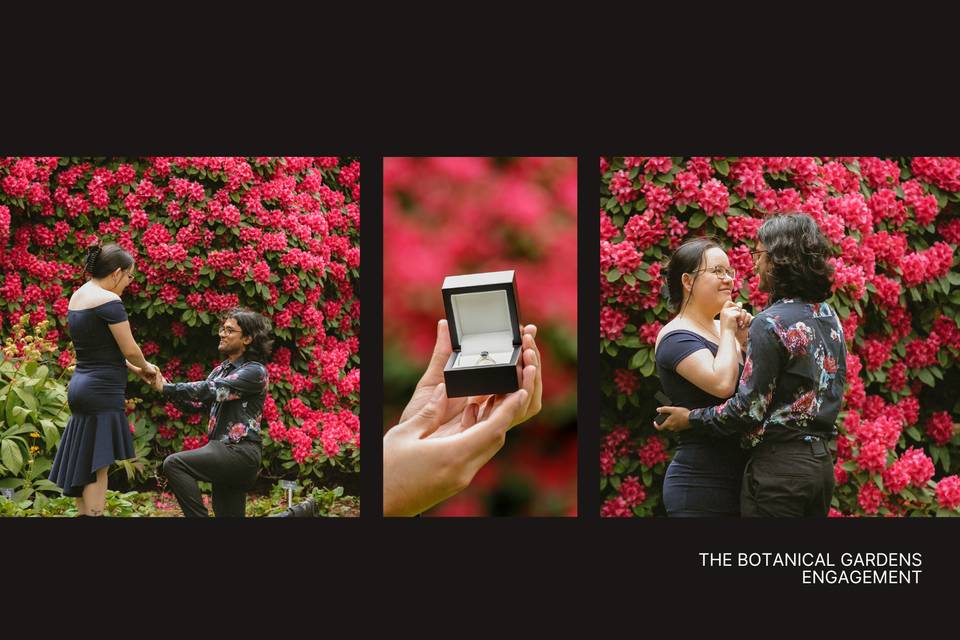 The proposal