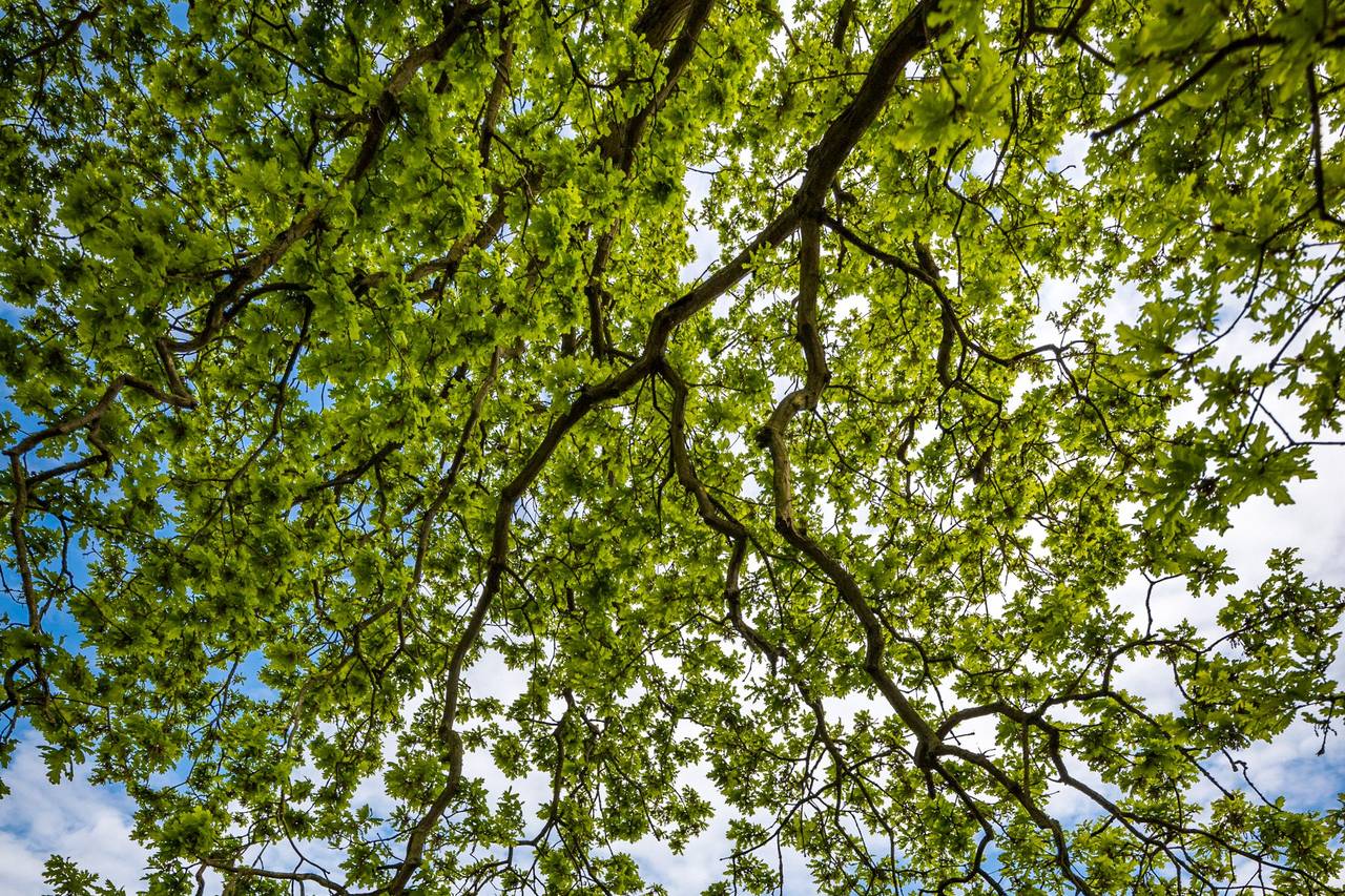 Ditton Manor Wedding Venue Slough, Berkshire | hitched.co.uk