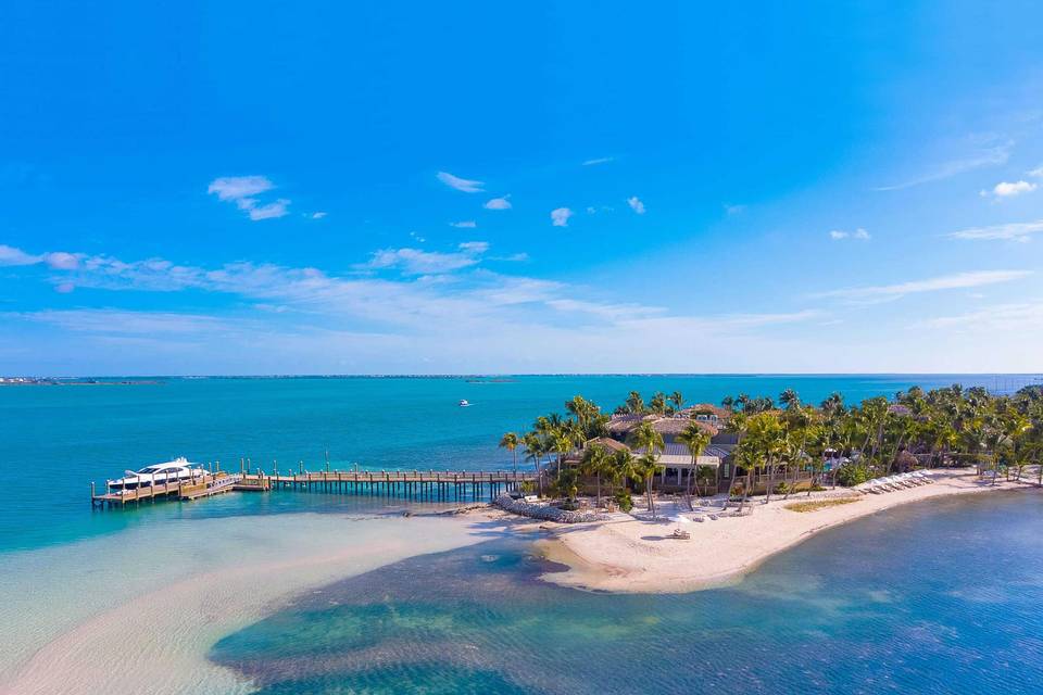 Blue skies and palm trees