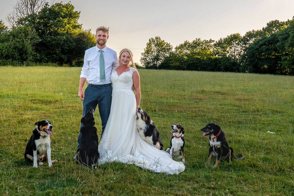 Farm Wedding with the dogs