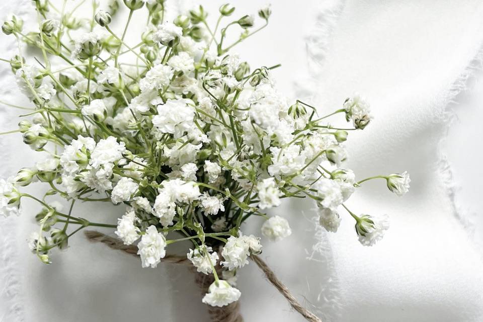 Gypsophila boutonniere