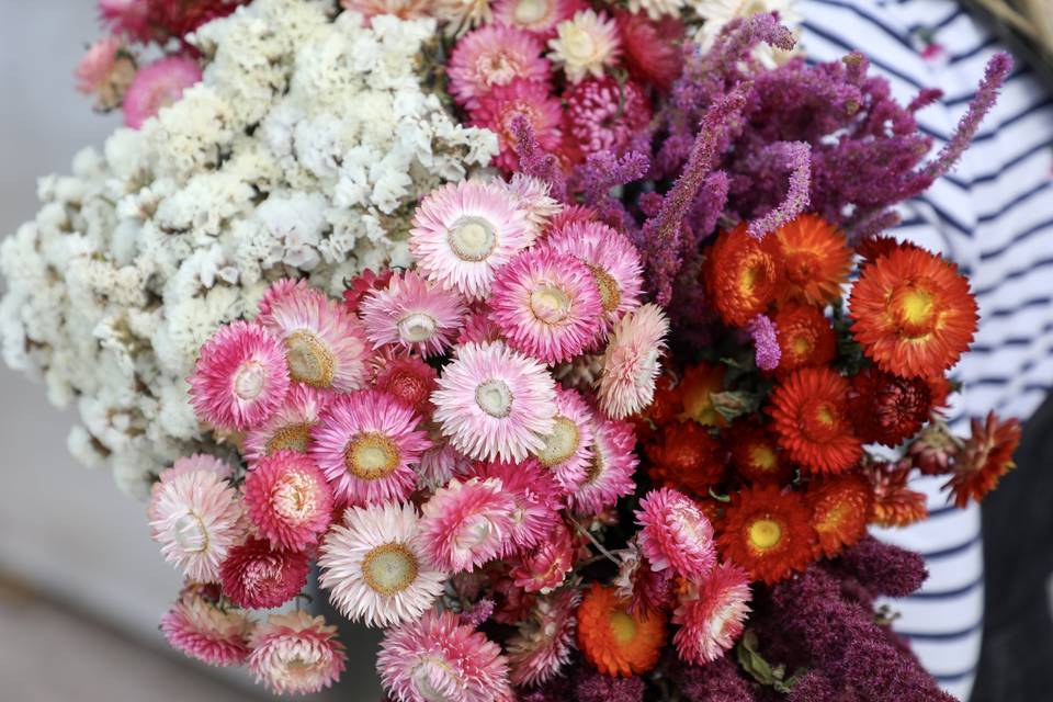 British Dried flowers