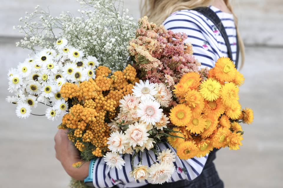 British Dried flowers