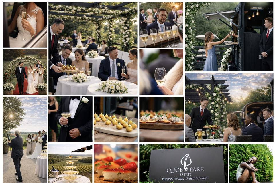 Drinks Reception Montage