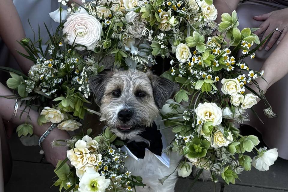 Flower boy