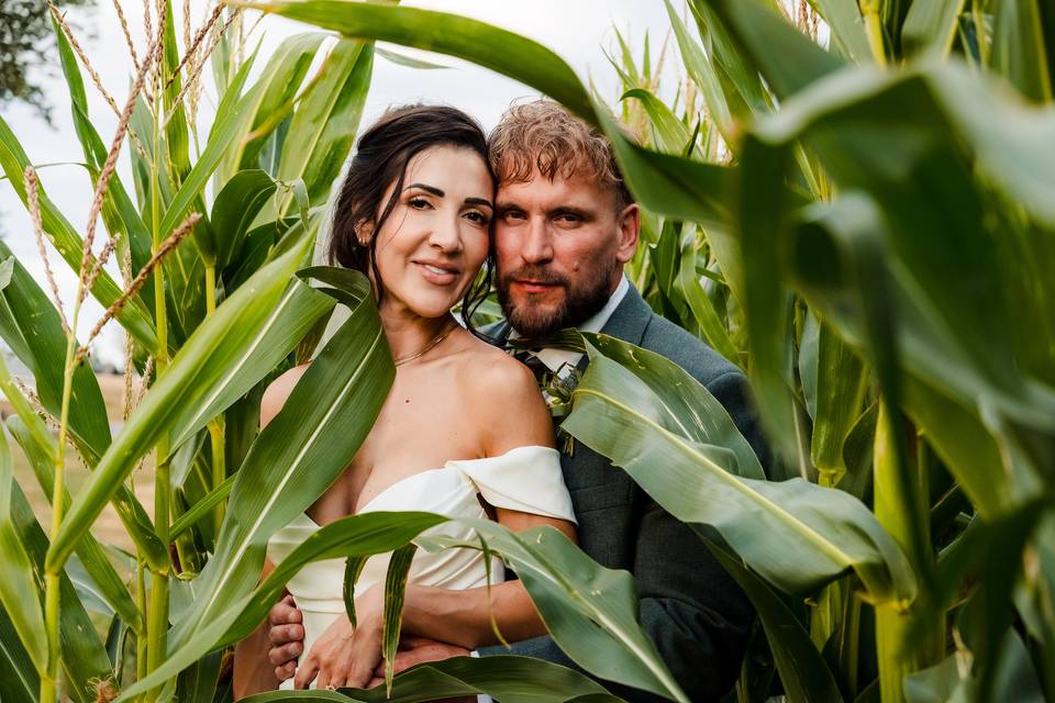 Bride and groom in farm crop