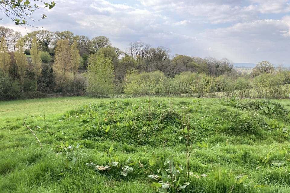 Fields