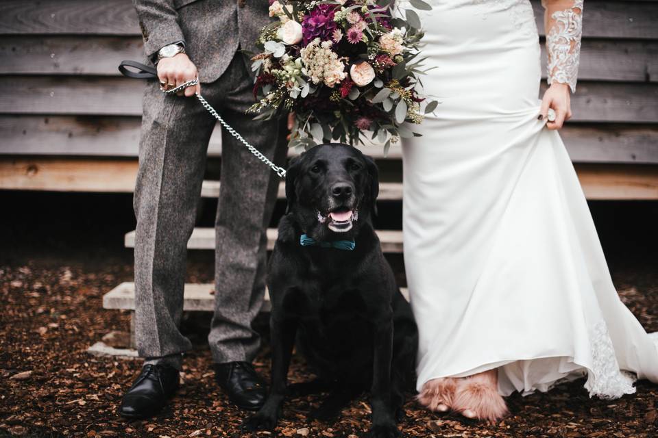 Wedding Pup