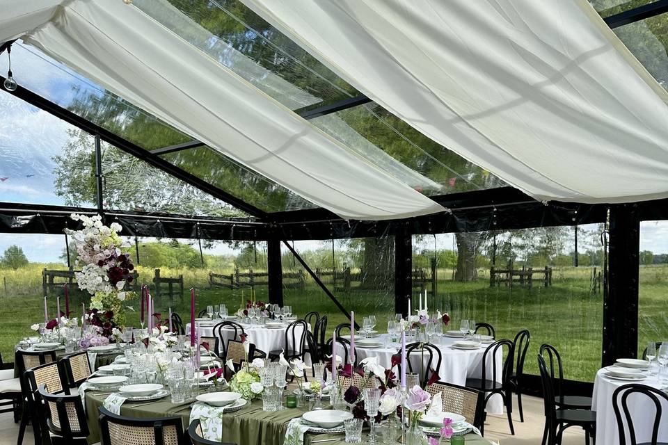Herriot marquee & serpentinen