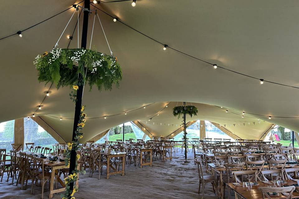 Festoon lights & floristry