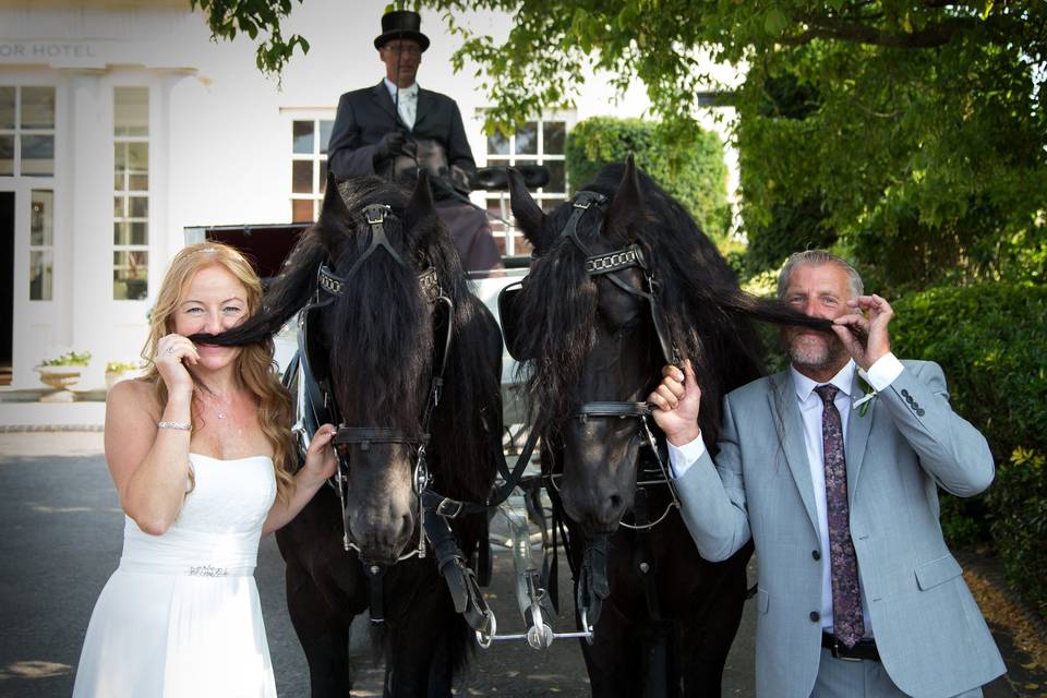 Horses make great moustaches